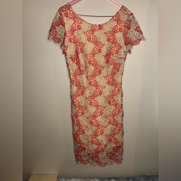 Alberto Makali NWT Lace Lined Short Sleeve Size S Dress Elevated Indie sheath - Picture 1 of 9